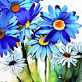 Blue Daisy Flowers