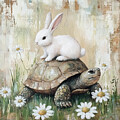 The Hare And The Tortoise